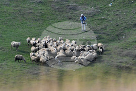 Село Китанчево - паша