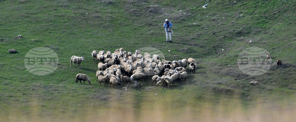 Село Китанчево - паша