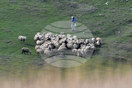Село Китанчево - паша