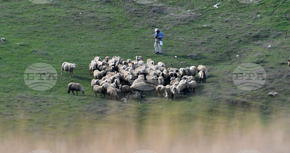 Село Китанчево - паша