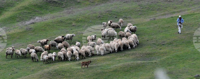 Село Китанчево - паша