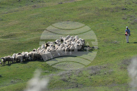 Село Китанчево - паша
