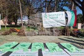 Кюстендил - „Гората БГ“ - инициатива