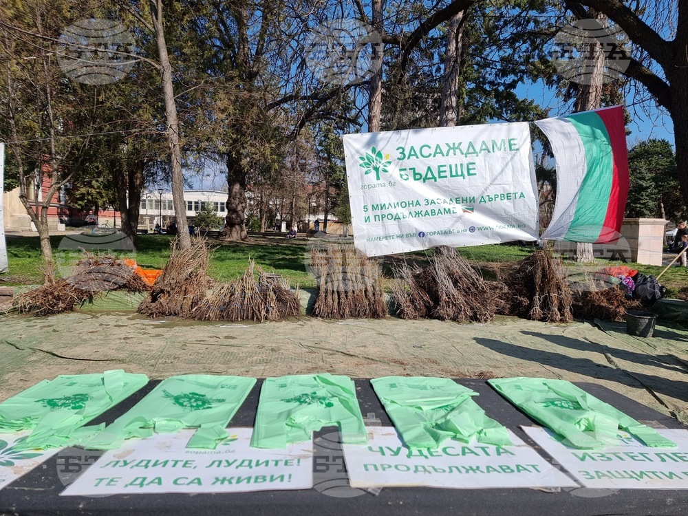 Кюстендил - „Гората БГ“ - инициатива