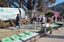 Кюстендил - „Гората БГ“ - инициатива