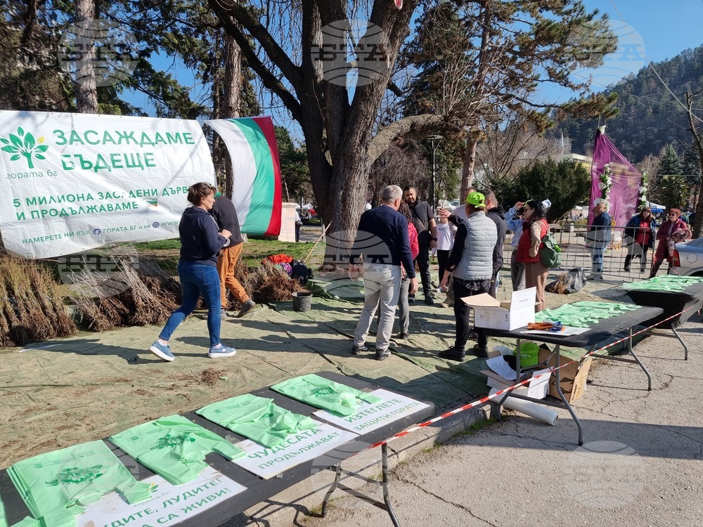 Кюстендил - „Гората БГ“ - инициатива