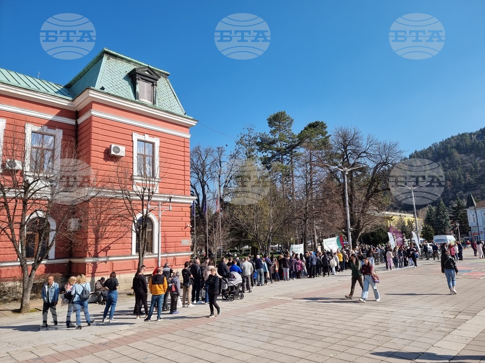 Кюстендил - „Гората БГ“ - инициатива