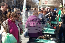 Кюстендил - „Гората БГ“ - инициатива