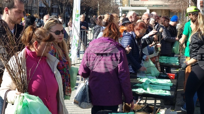 От инициативата „Гората БГ“ подариха в Кюстендил над 16 000 фиданки на плодни, медоносни и паркови дървета