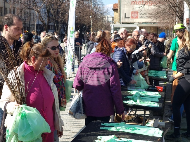 От инициативата „Гората БГ“ подариха в Кюстендил над 16 000 фиданки на плодни, медоносни и паркови дървета
