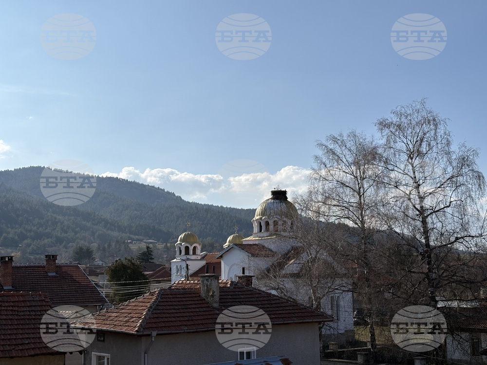 Село Доспей - щъркели