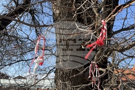 Село Доспей - щъркели