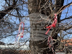 Село Доспей - щъркели