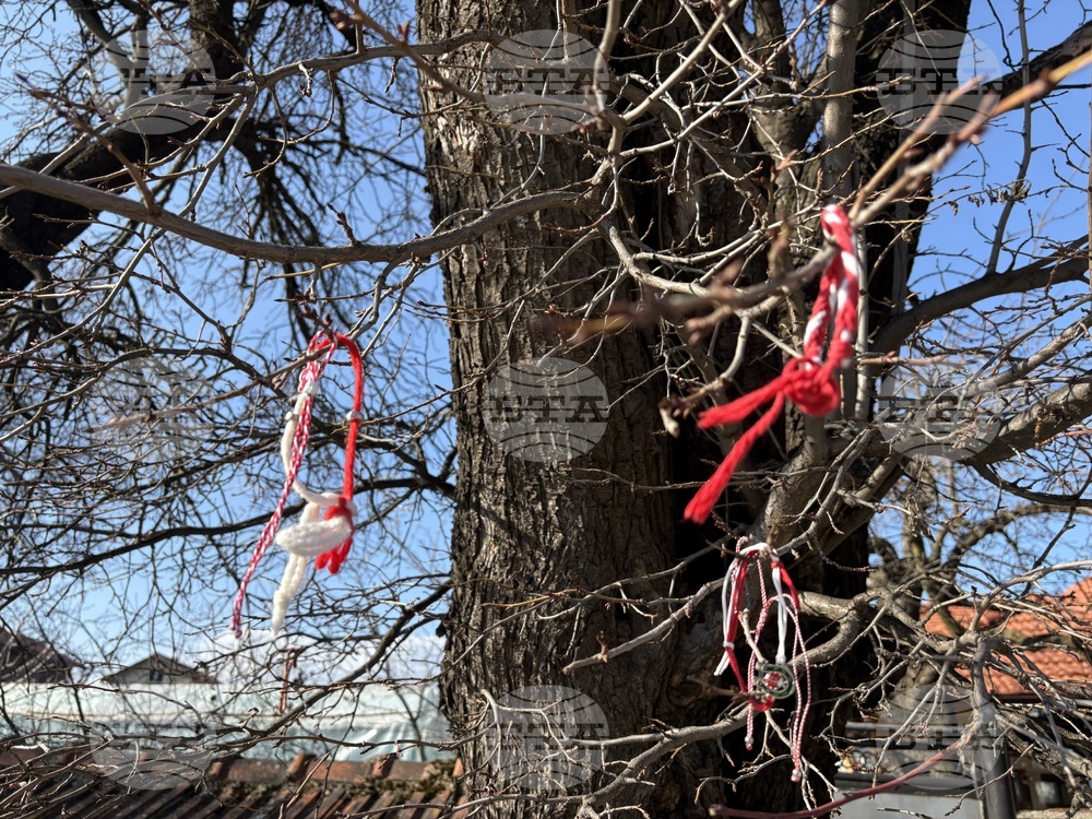 Село Доспей - щъркели