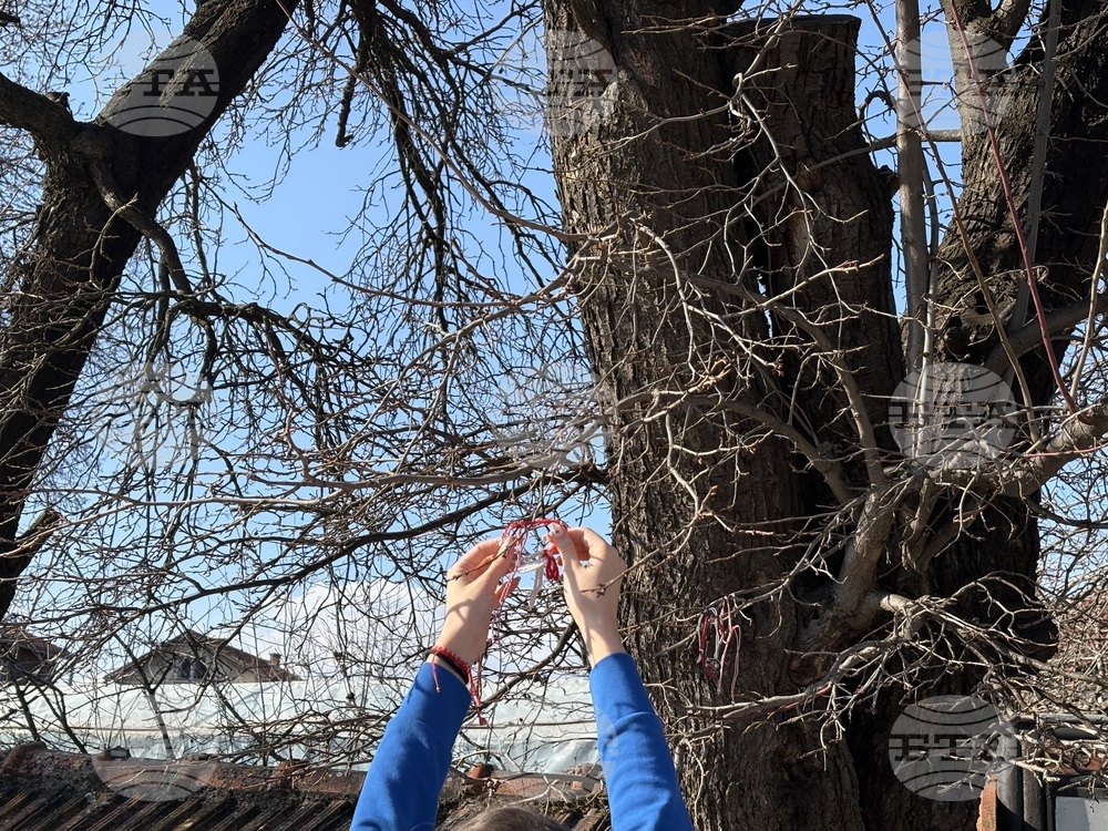 Село Доспей - щъркели