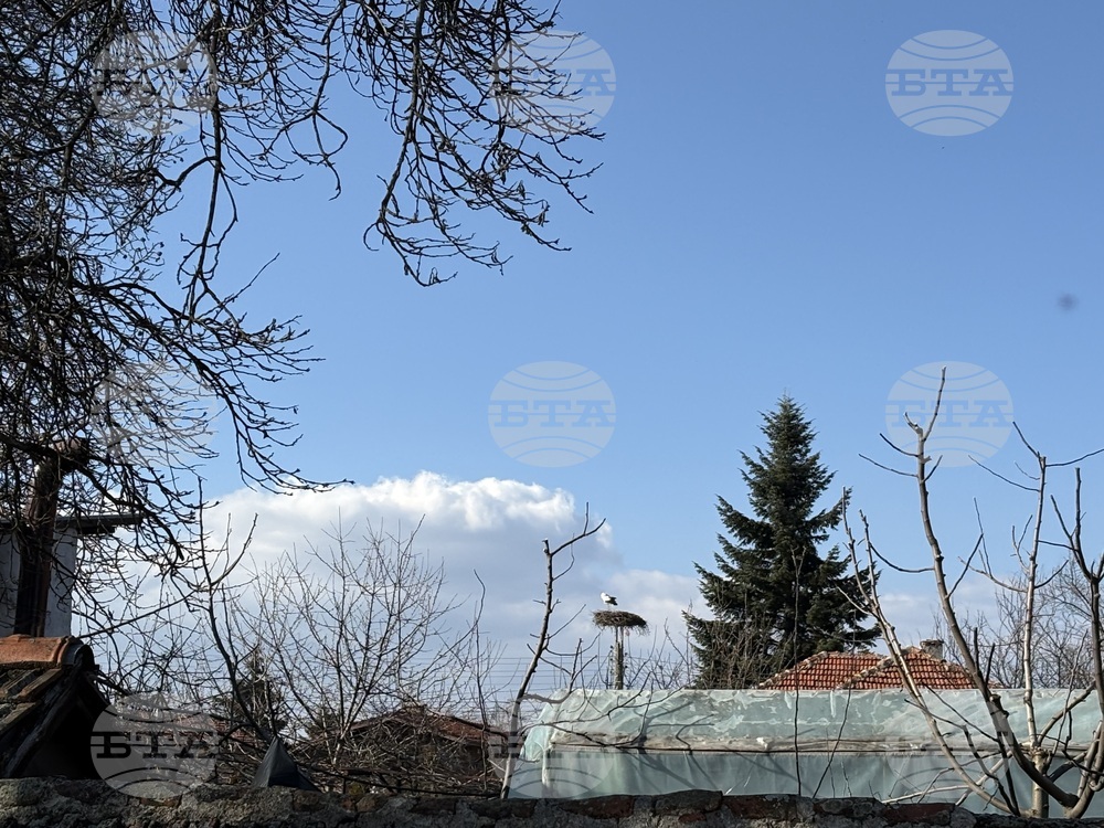 Село Доспей - щъркели