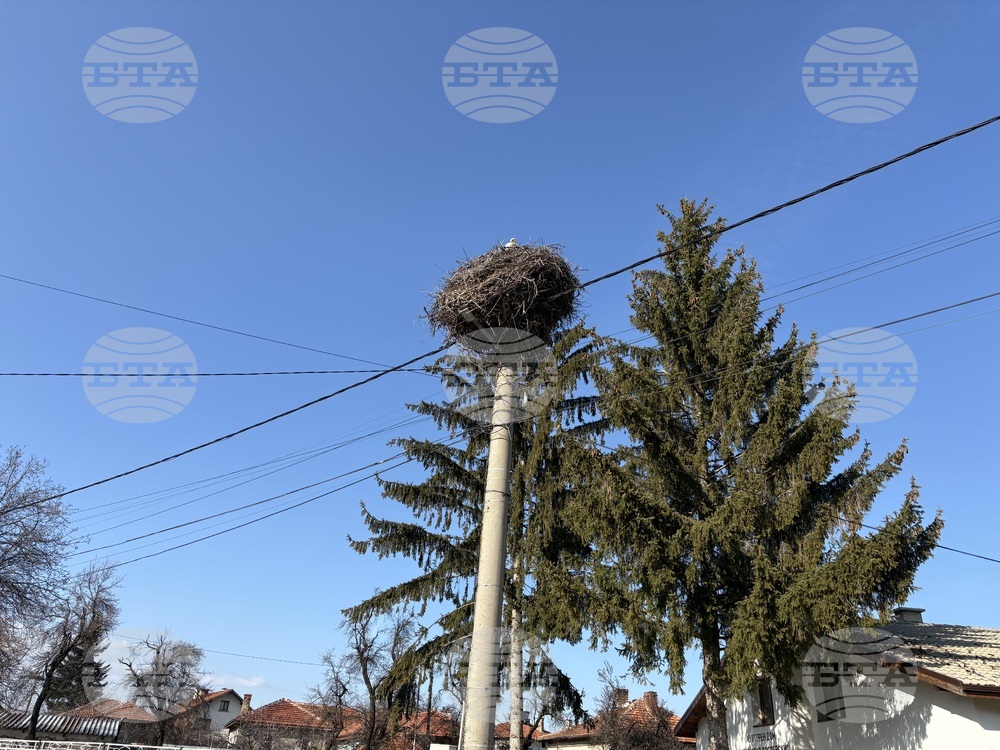 Село Доспей - щъркели