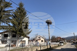 Село Доспей - щъркели