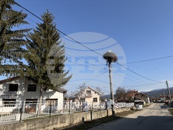 Село Доспей - щъркели