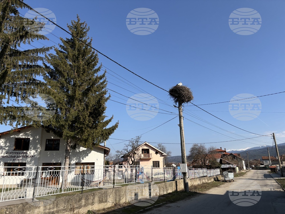 Село Доспей - щъркели