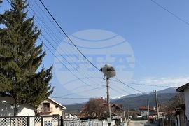 Село Доспей - щъркели