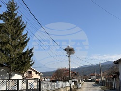 Село Доспей - щъркели