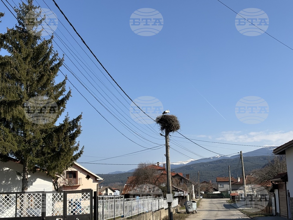 Село Доспей - щъркели