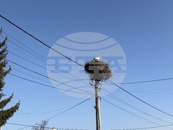 Село Доспей - щъркели