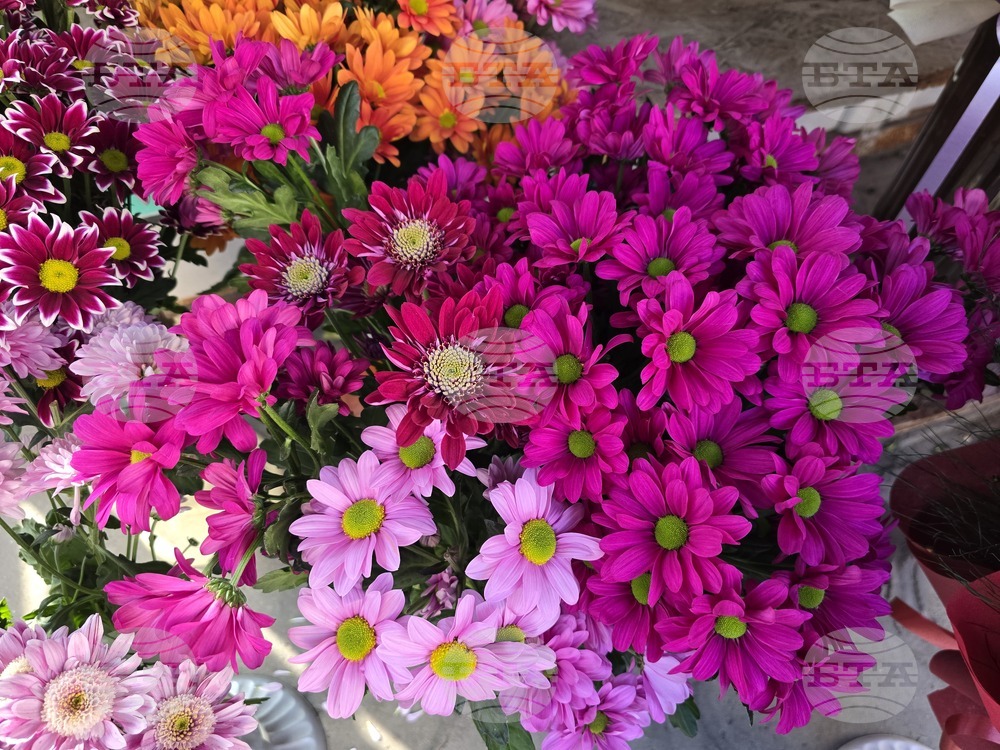 Ловеч - 8 март - цветя