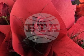 Ловеч - 8 март - цветя