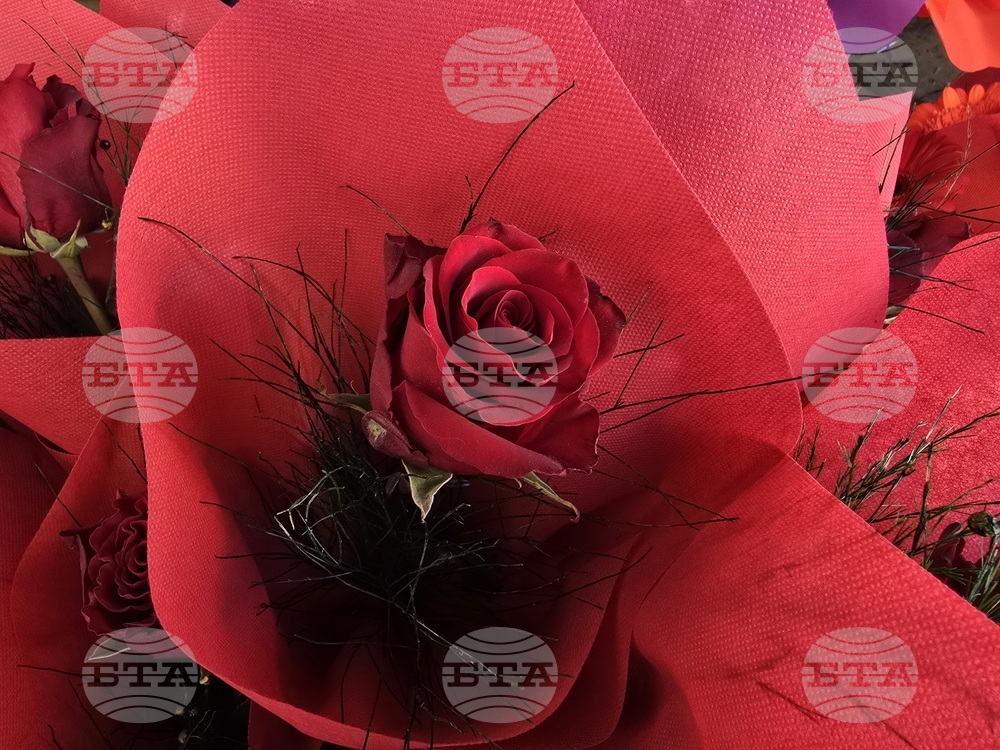 Ловеч - 8 март - цветя