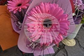 Ловеч - 8 март - цветя