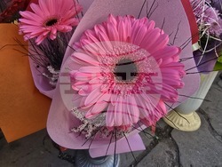 Ловеч - 8 март - цветя