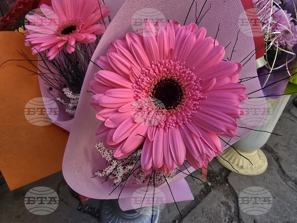 Ловеч - 8 март - цветя