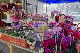 Ловеч - 8 март - цветя