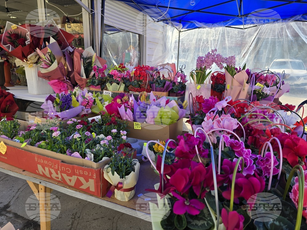 Ловеч - 8 март - цветя