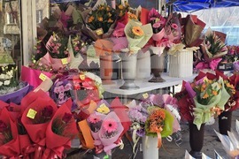 Ловеч - 8 март - цветя