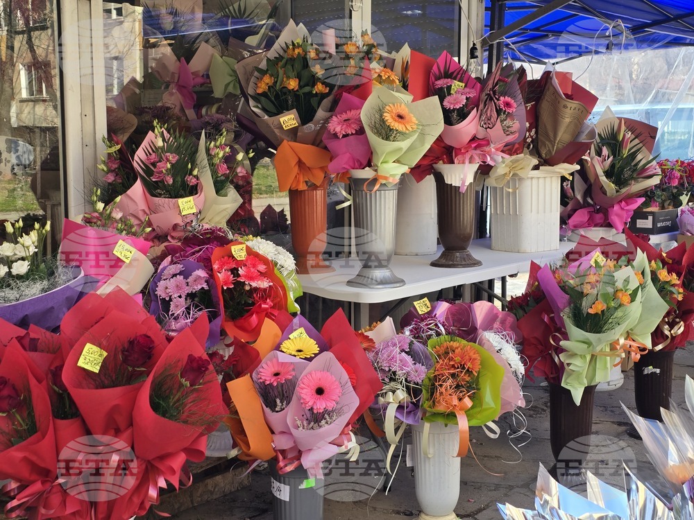 Ловеч - 8 март - цветя