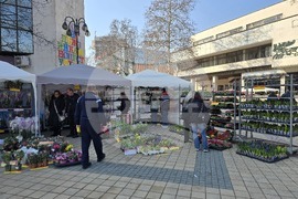 Ловеч - 8 март - цветя