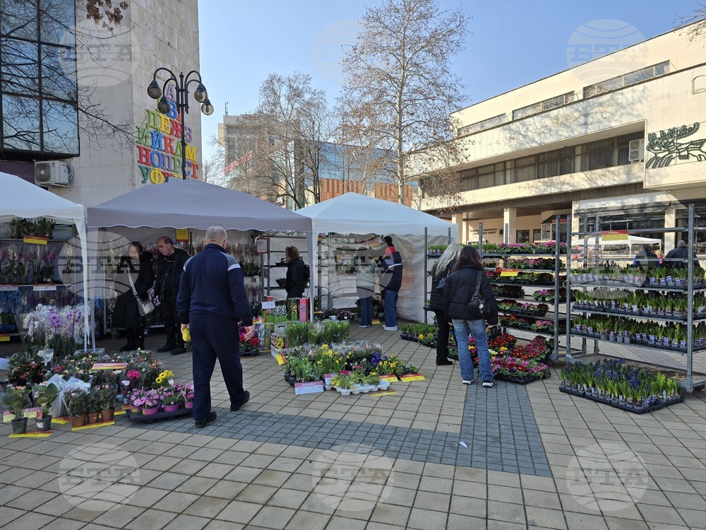 Ловеч - 8 март - цветя