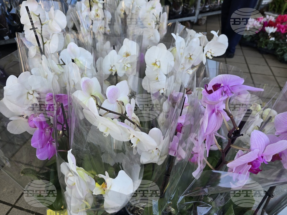 Ловеч - 8 март - цветя