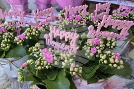 Ловеч - 8 март - цветя