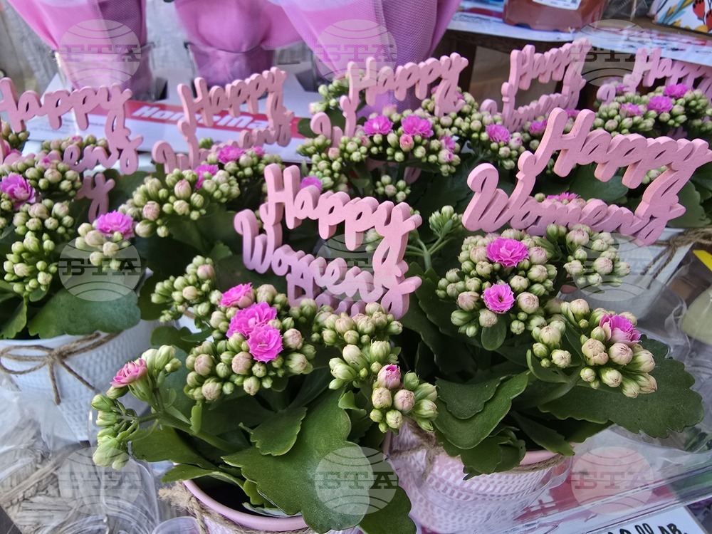 Ловеч - 8 март - цветя