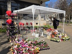 Ловеч - 8 март - цветя