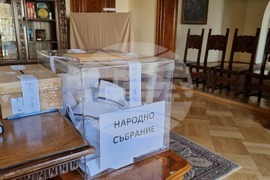 Румъния - парламентарни избори - български граждани