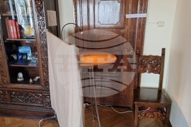 Румъния - парламентарни избори - български граждани