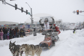 Iditarod Trail Sled Dog Race