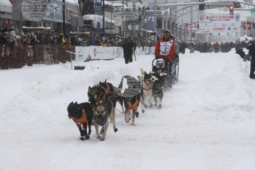Iditarod Trail Sled Dog Race