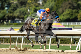Santa Anita Horse Racing