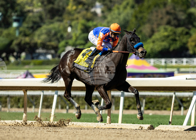 Santa Anita Horse Racing